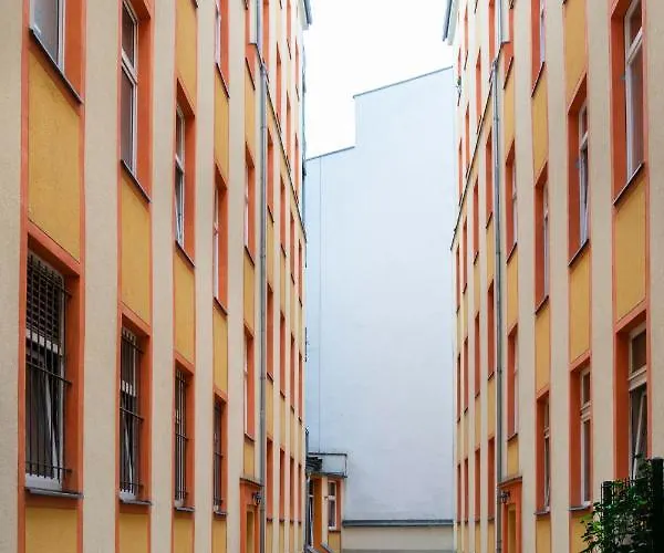 Daire Rosenthaler Calling - Rooftop *